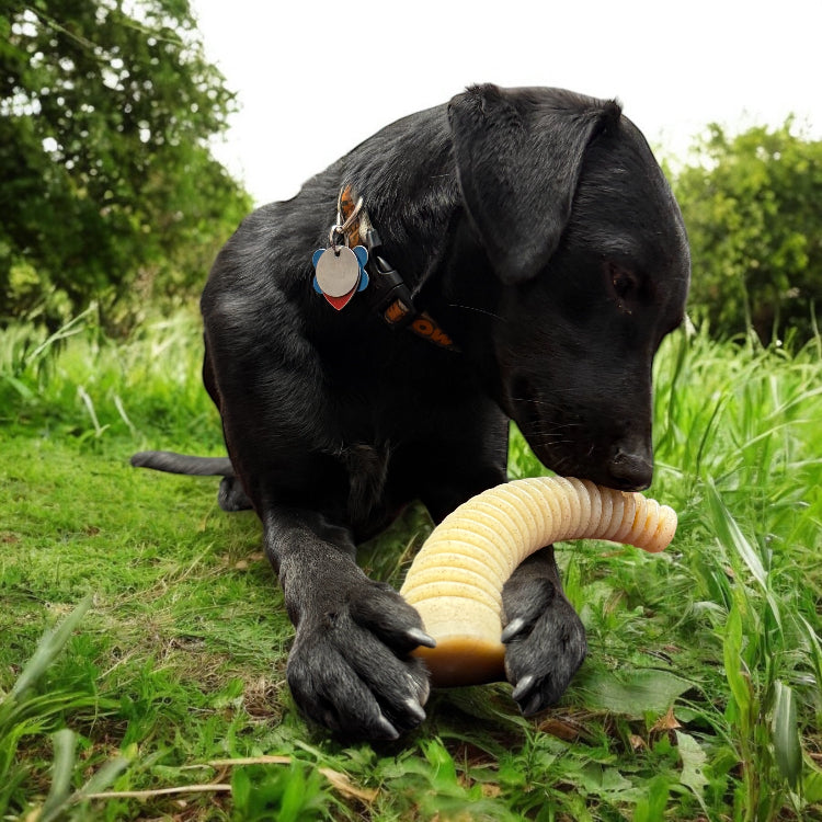 Flufflehorn Dental Antler - Durable Nylon Dog Chew Toy XL | USA Made