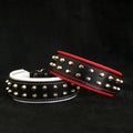 "Rocky" collar